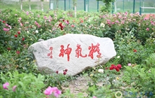 校园景观石
