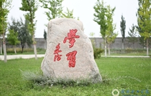 校园景观石
