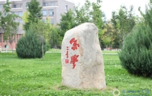 校园景观石